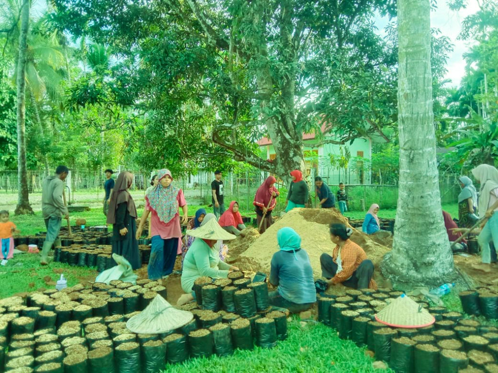 Salah satu upaya warga memasukkan bibit sawit ke dalam polybag.